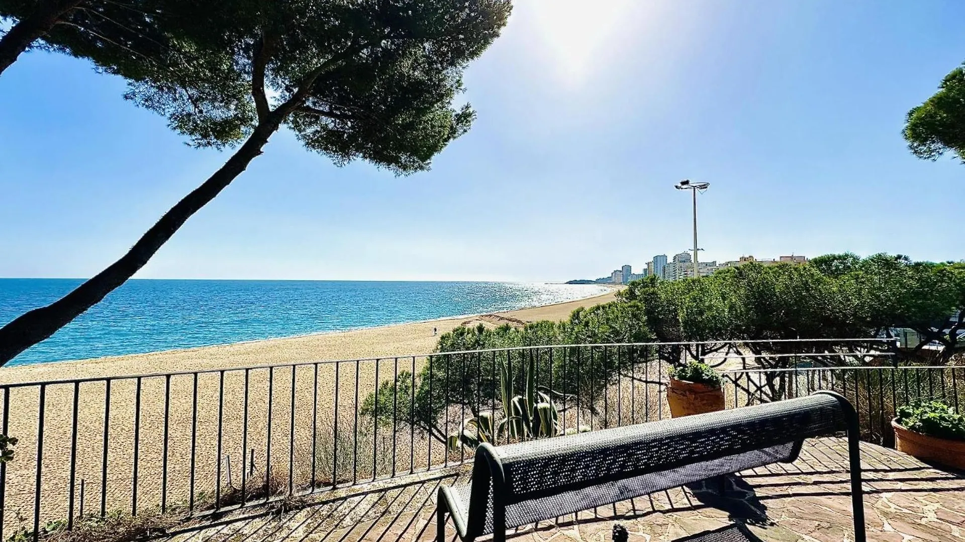 Cavall Bernat Costabravasi location